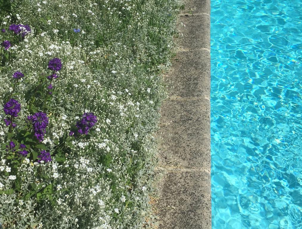 Fleurs De Vignes Piscine Panzió Montagny-lès-Beaune Kültér fotó